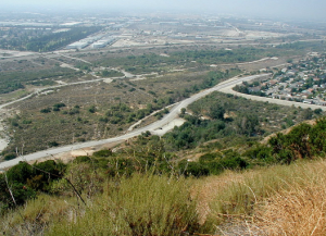 Duarte