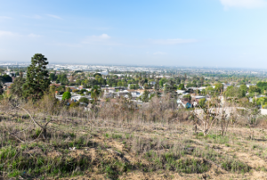 Whittier